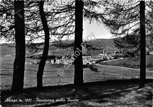 Cartolina Asiago Panorama dalla pineta 1960