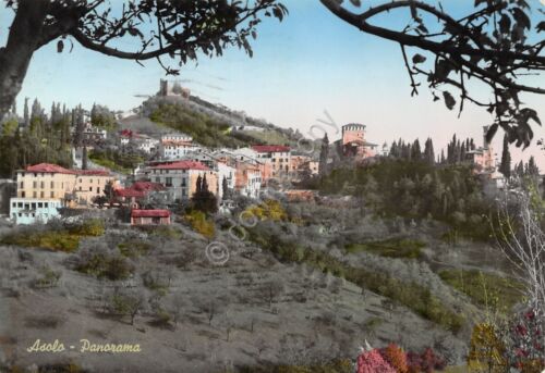 Cartolina Asolo Panorama 1960 (Treviso)