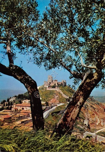 Cartolina Assisi Rocca Maggiore da Rocchicciola 1976 (Perugia)