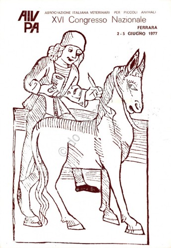 Cartolina Associazione Italiana Veterinari XVI Congresso Ferrara 1977