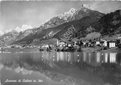 Cartolina Auronzo di Cadore Panorama (Belluno)