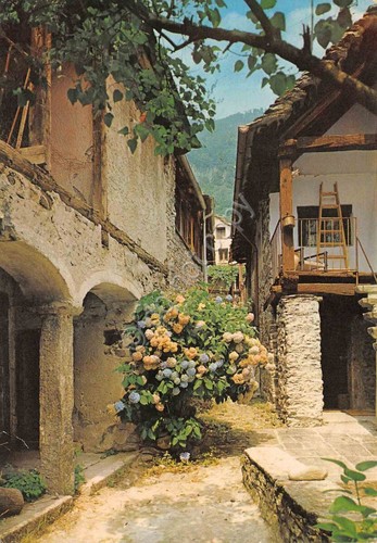 Cartolina Avegno Valle Maggio Rustici