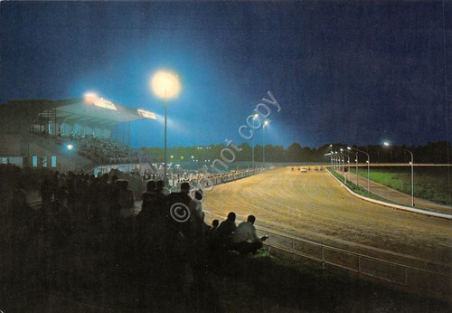Cartolina Aversa Ippodromo Cirigliano notturno anni '70