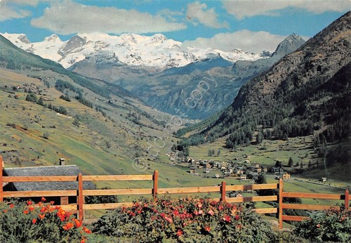 Cartolina Ayas Perriasc panorama valle e catena Monte Rosa ED. …