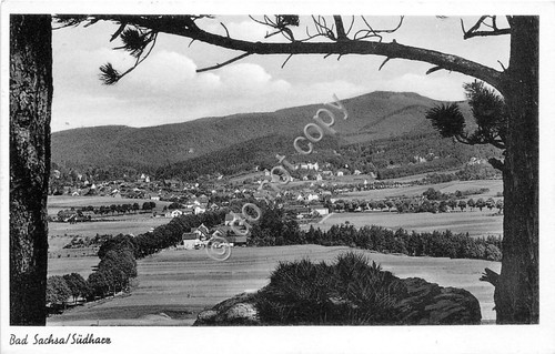 Cartolina Bad Sachsa Sudharz Panorama 1951