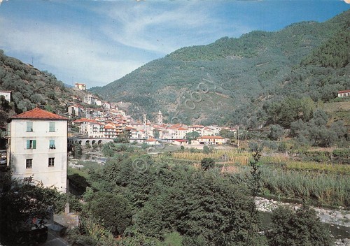 Cartolina Badalucco panorama parziale