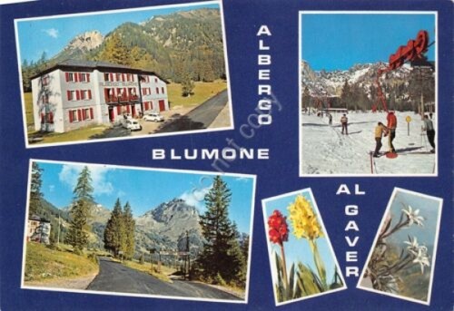 Cartolina Bagolino Albergo Blumone vedute