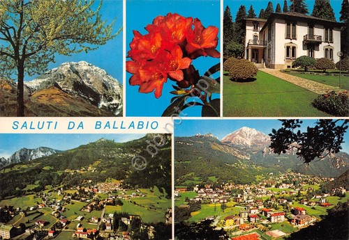 Cartolina Ballabio vedute varie panorama e fiori villa