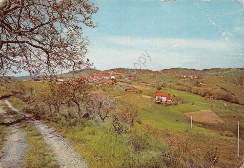 Cartolina Bandita Alessandria panorama 1977 molte grinze