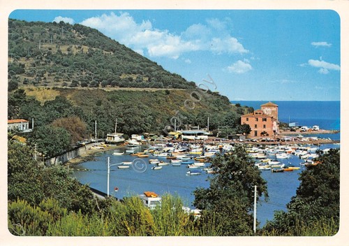 Cartolina Baratti panorama del porticciolo anni '80