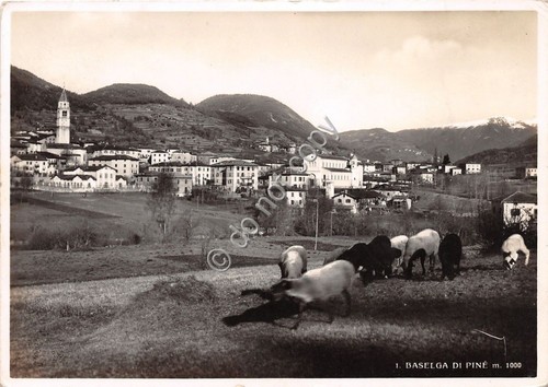 Cartolina Baselga di Pinè panorama - pascolo 1939 (Trento)