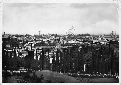 Cartolina Bassano del Grappa Panorama 1941