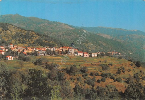 Cartolina Bavastri Lago del Brugneto panorama grinza