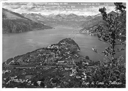 Cartolina Bellagio panorama con montagne anni '50
