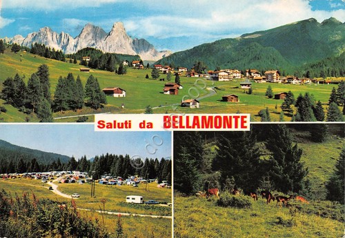 Cartolina Bellamonte 3 vedute panorama campeggio caprioli (Bolzano)