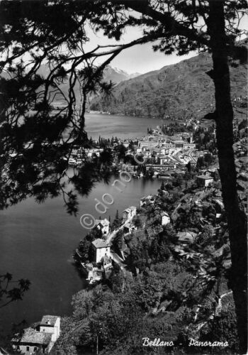 Cartolina Bellano Panorama 1955