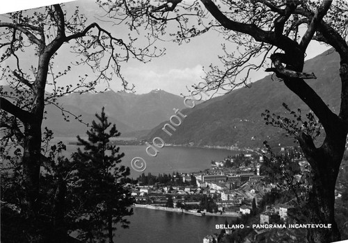 Cartolina Bellano Panorama anni '50 (Lecco)