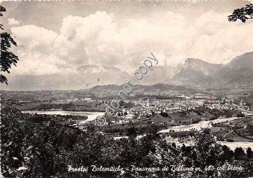 Cartolina Belluno Panorama col Piave 1951