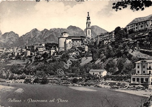 Cartolina Belluno Panorama con Fiume Piave