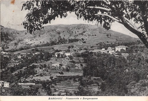 Cartolina Bergagli Piansereto Borgonuovo Panorama 1954 (Genova)