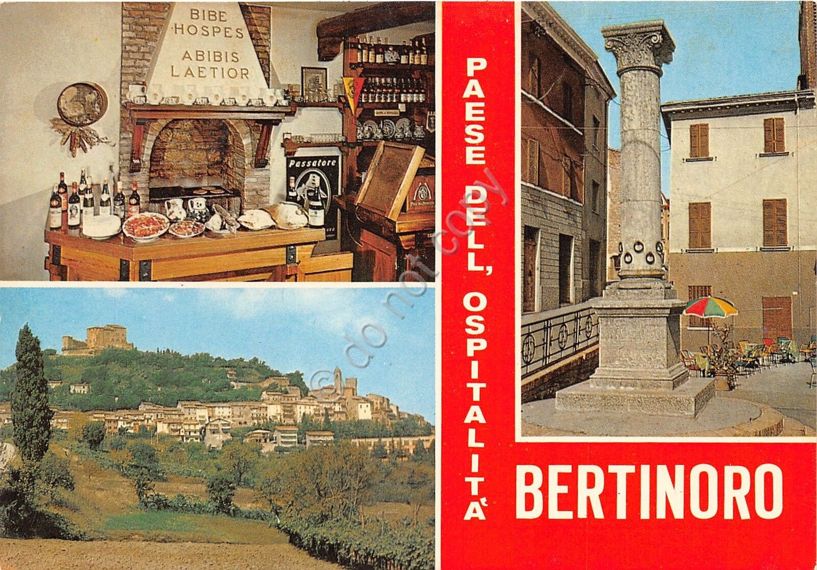 Cartolina Bertinoro Vedutine Ca' de' Be' (Forl)