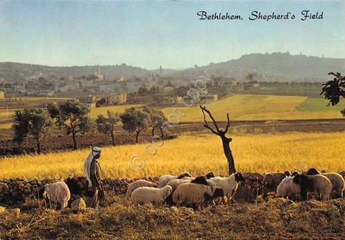 Cartolina Bethlehem shepherd's field animata anni '80