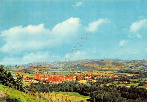 Cartolina Bistagno panorama da ponente 1973