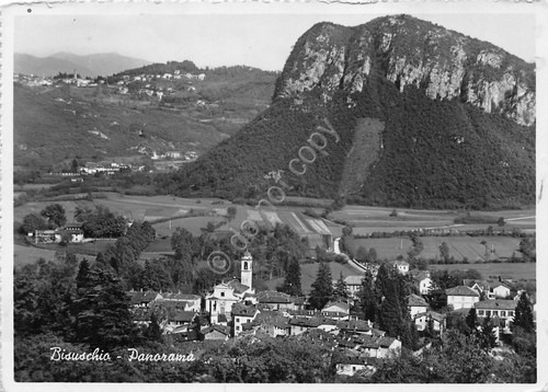 Cartolina Bisuschio Panorama 1956 (Varese)