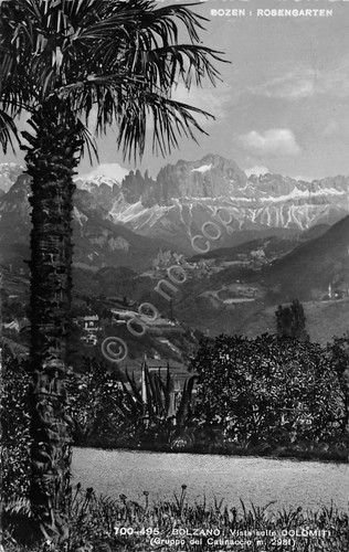 Cartolina Bolzano Bozen Rosengarten 1953