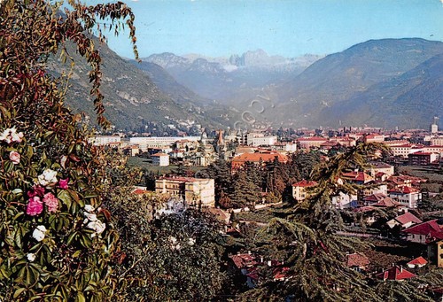 Cartolina Bolzano Panorama 1959