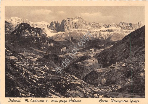 Cartolina Bolzano Panorama e Monte Catinaccio