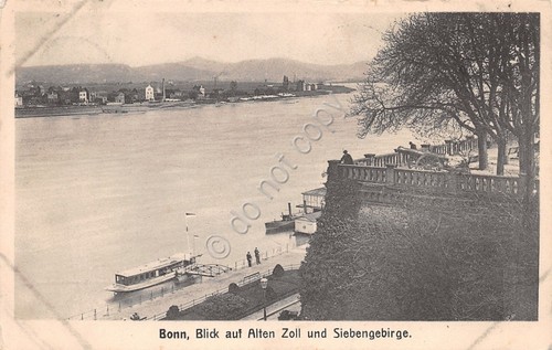 Cartolina Bonn Blick auf Alten Zoll und Siebengebirge anni '10