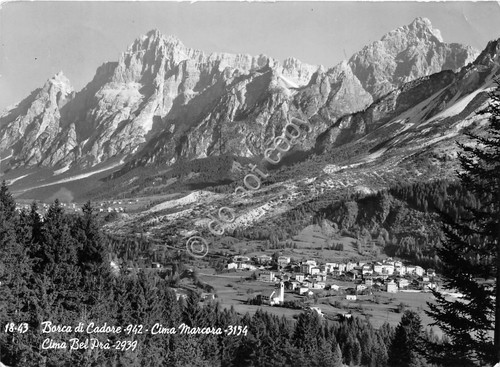 Cartolina Borca di Cadore Panorama Cima Marcora Cima Bel Prà …