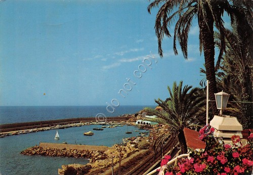 Cartolina Bordighera il porto 1981 (Imperia)