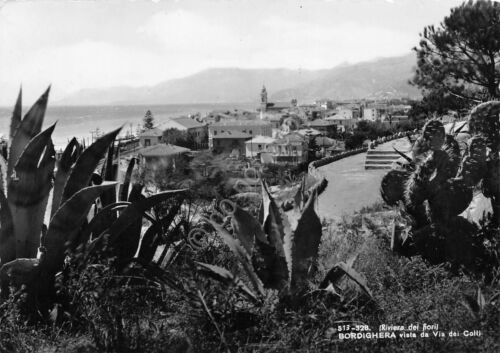 Cartolina Bordighera vista da Via dei Colli case 1953