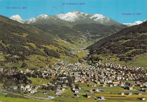 Cartolina Bormio Panorama 1983 (Sondrio)