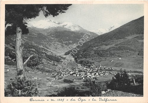 Cartolina Bormio panorama da Oga anni '40 (Sondrio)