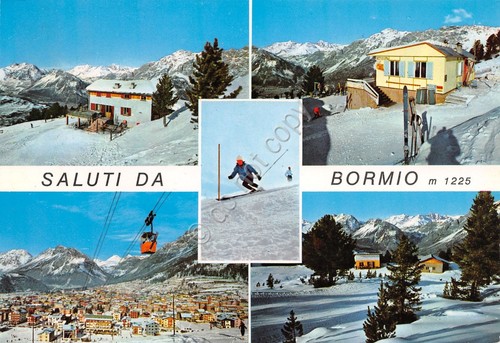 Cartolina Bormio vedute varie funivia paese sciatore 1970