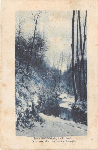Cartolina Bosco Alberi con neve poesia - 1915
