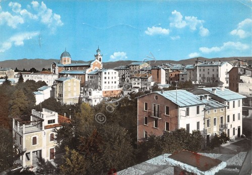 Cartolina Boscochiesanuova Panorama 1966
