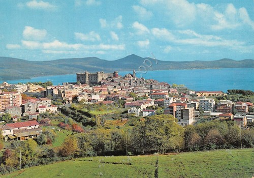 Cartolina Bracciano Panorama città da coltivazioni anni '80