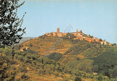 Cartolina Buggiano Castello panorama