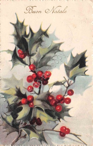 Cartolina Buon Anno agrifoglio illustrata 1932