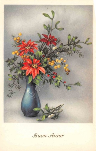 Cartolina Buon Anno illustrata vaso di fiori stelle di Natale …