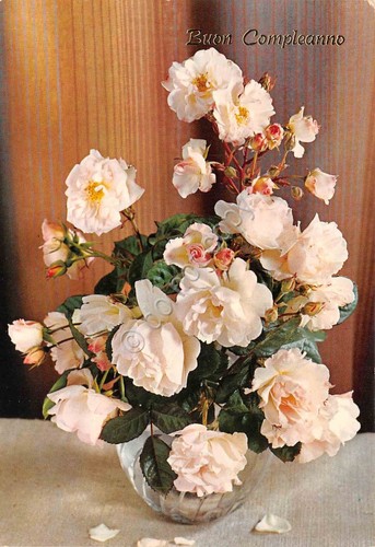 Cartolina Buon Compleanno vaso di fiori con rose bianche