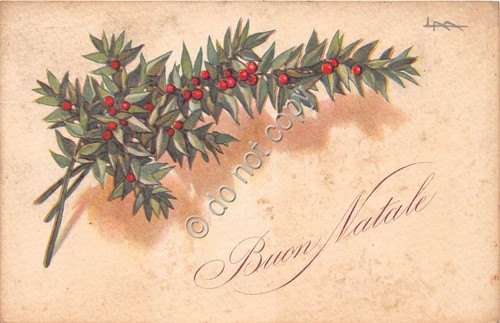 Cartolina Buon Natale Illustrata Dell'Anna vischio VG