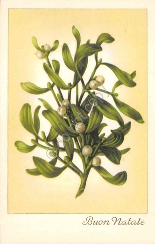Cartolina Buon Natale illustrata Vischio nr 7781 (Augurali)