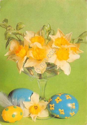 Cartolina Buona Pasqua fiori uova colorate