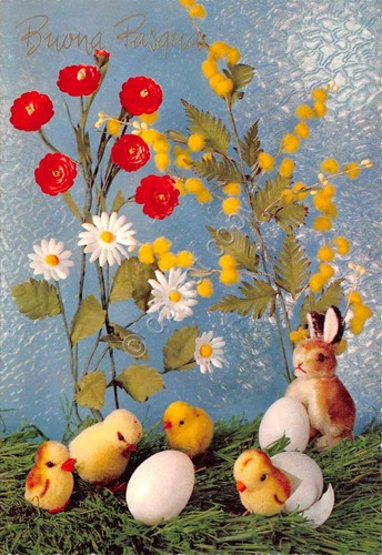 Cartolina Buona Pasqua pulcini coniglio e fiori mimose ranuncoli ED …