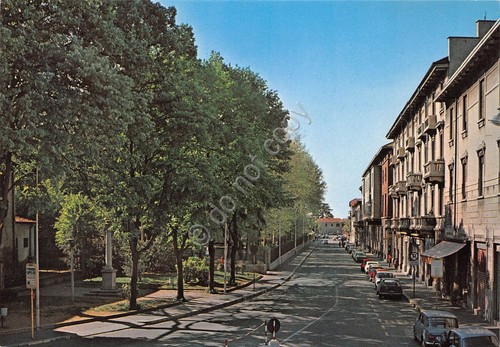 Cartolina Busto Arsizio Via Ugo Foscolo Giardini auto negozi (Varese)